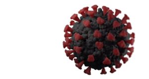 What, should there be an increase today? More Smiles!