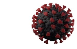 What, should there be an increase today? More Smiles!