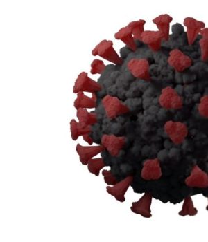 What, should there be an increase today? More Smiles!